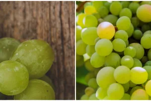 Rahasia anggur muscat untuk kesehatan jantung dan pencegahan kanker