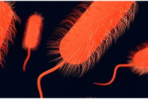 Kenali 11 gejala infeksi E. Coli, lengkap dengan cara mengobatinya