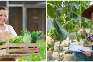 Presiden Prabowo hapus utang macet petani, nelayan, dan UMKM, begini syarat dan mekanismenya