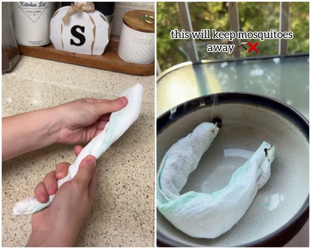 Cara ampuh bikin obat nyamuk alami © Instagram