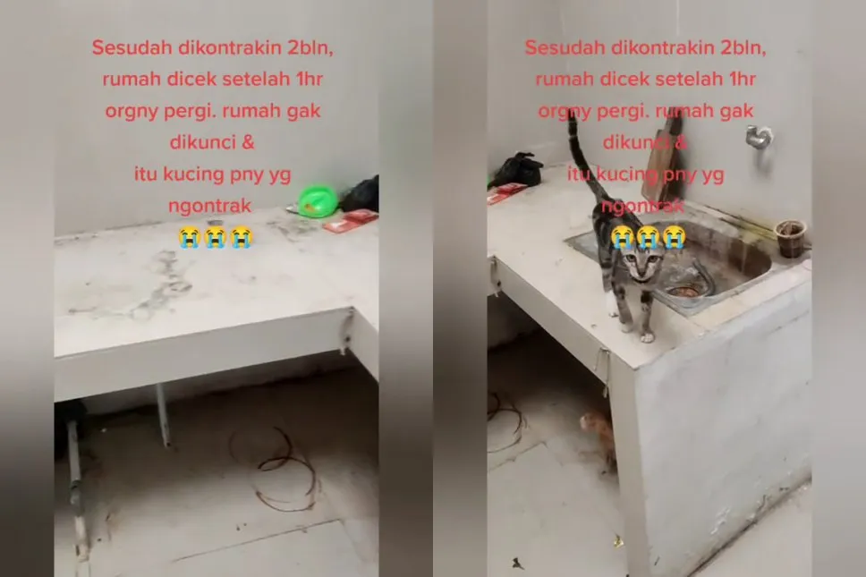 cerita rumah kontrak Β© TikTok cerita rumah kontrak Β© TikTok
