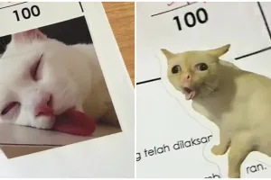 12 Potret kocak guru kasih penilaian ujian ke siswa pakai ekspresi kucing ini bikin heran