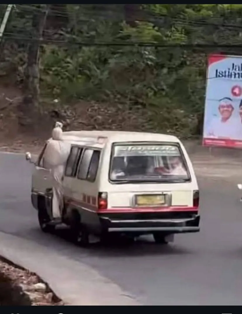 potret kelakuan random orang di jalan raya berbagai sumber