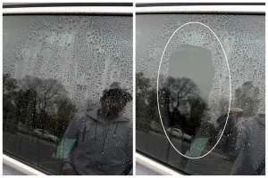 Cara mudah bersihkan jamur di kaca mobil ini cuma pakai 1 bahan makanan