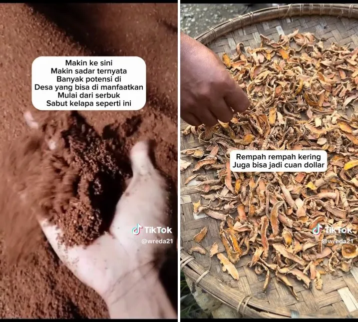 penjual gorengan jadi pebisnis ekspor © TikTok