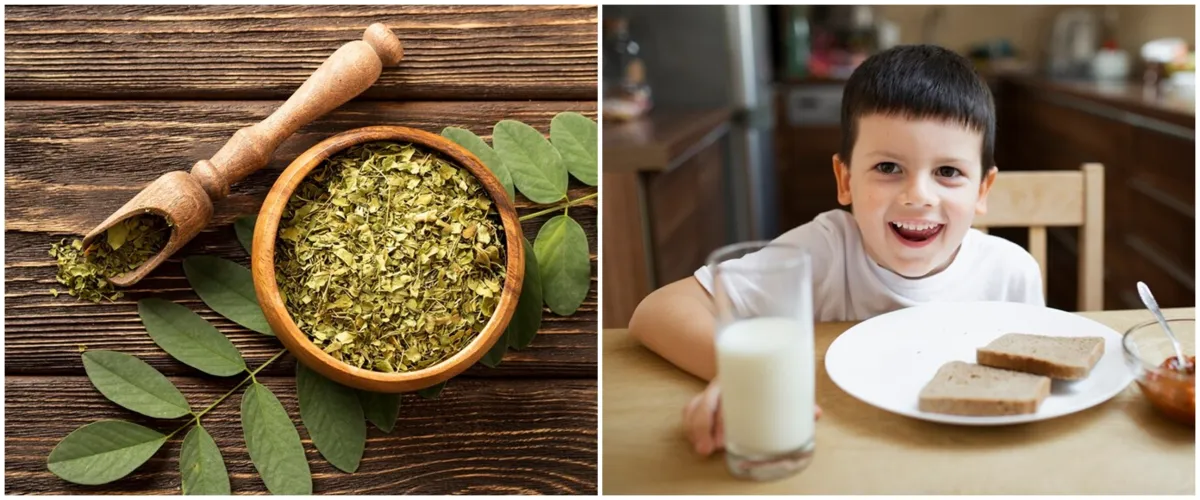 Jadi pengganti susu di program makan gratis, ini 9 manfaat daun kelor, gizinya setara dengan susu?