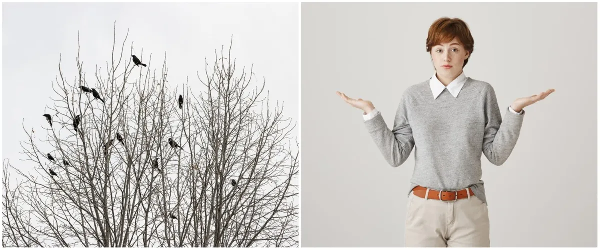 7 Arti melihat burung gagak berkumpul, benarkah pertanda akan terjadinya hal buruk?