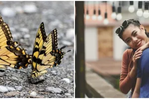 Dipercaya bawa keberuntungan dan cinta, ini 7 arti melihat dua ekor kupu-kupu bersamaan