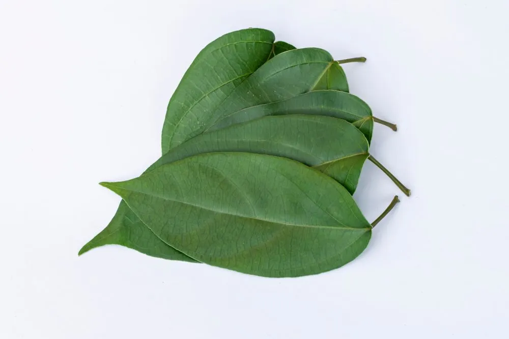 TolakAngin_10 © 2024 brilio.net TolakAngin_10 © 2024 brilio.net