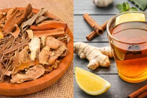 Penjelasan ilmiah kenapa rempah-rempah ini andalan turun temurun untuk jaga tubuh saat cuaca ekstrem