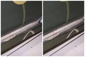 Tak perlu disemprot cairan khusus, begini trik ampuh membasmi tungau di kasur agar tak muncul lagi