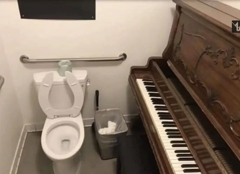 Potret kocak desain toilet Berbagai sumber