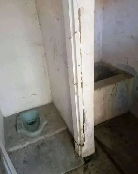 Potret kocak desain toilet Berbagai sumber