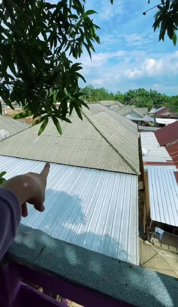 rumah pohon interiornya ungu © TikTok