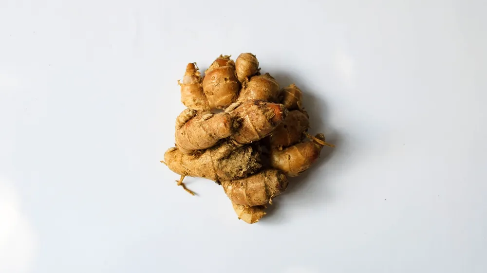 Sidomuncul_223 © 2025 brilio.net