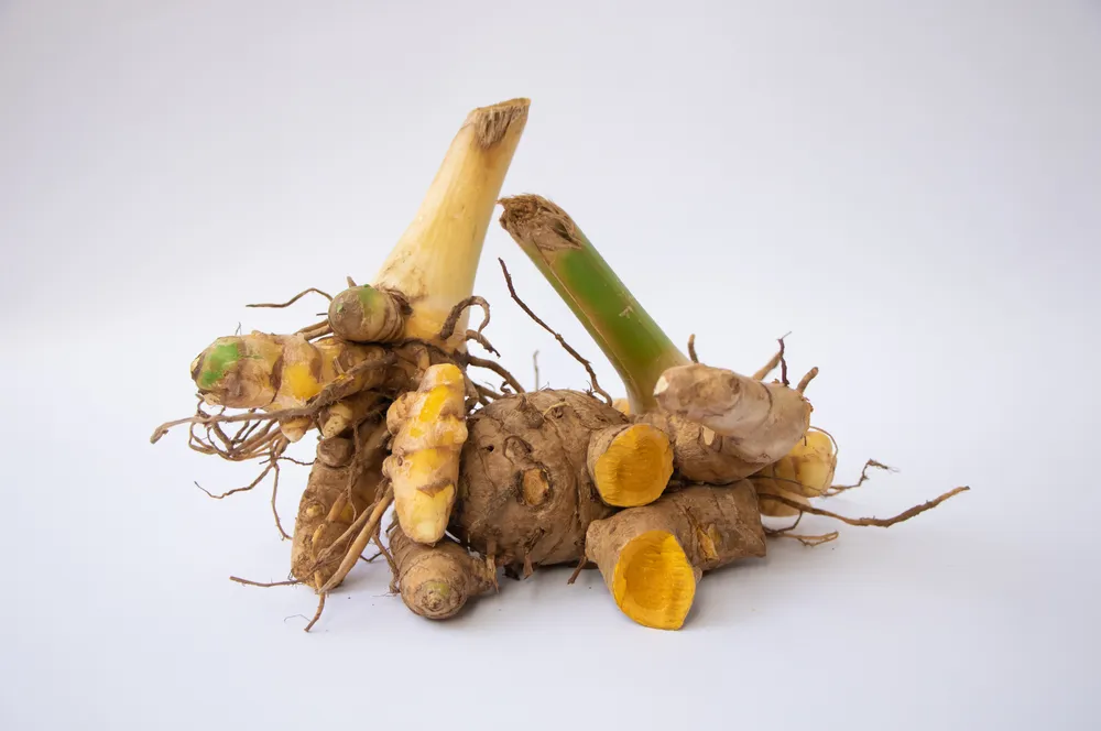 Sidomuncul_223 © 2025 brilio.net