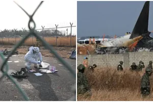 Fakta terbaru kecelakaan pesawat Jeju Air, ditemukan bangkai bebek di mesin pesawat