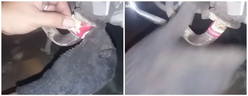 Cara cepat menambal knalpot motor © YouTube