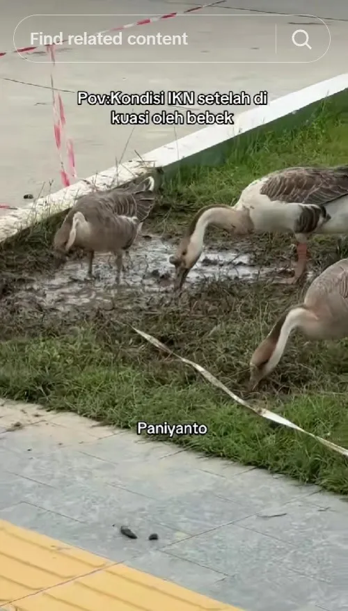 kondisi IKN anggaran diblokir © berbagai sumber kondisi IKN anggaran diblokir © berbagai sumber