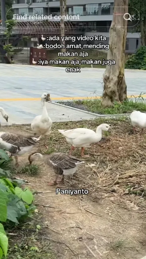 kondisi IKN anggaran diblokir © berbagai sumber kondisi IKN anggaran diblokir © berbagai sumber