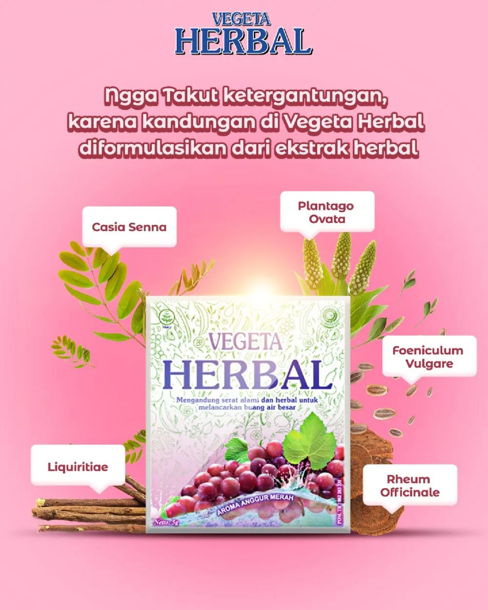 Vegeta-kV © 2025 brilio.net Vegeta-kV © 2025 brilio.net