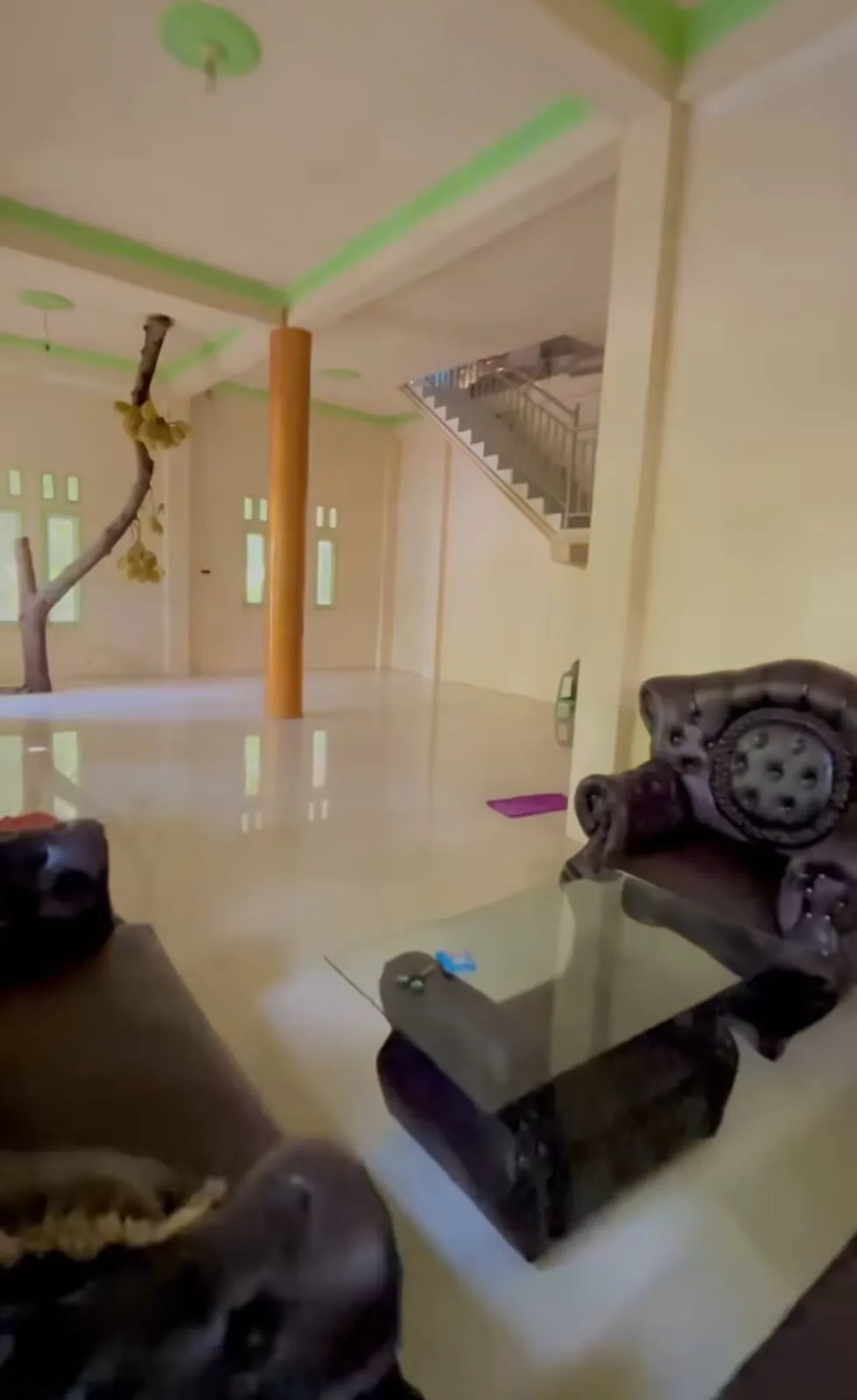 pohon nangka tumbuh di dalam rumah © TikTok