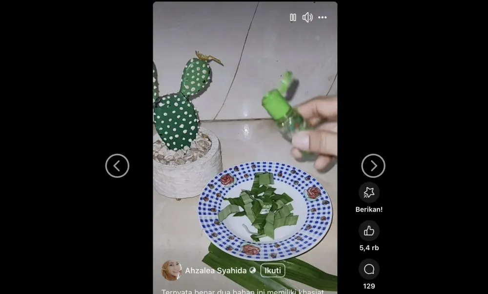 Trik usir nyamuk secara alami Freepik/jcomp; Facebook/@ahzalea.syahida