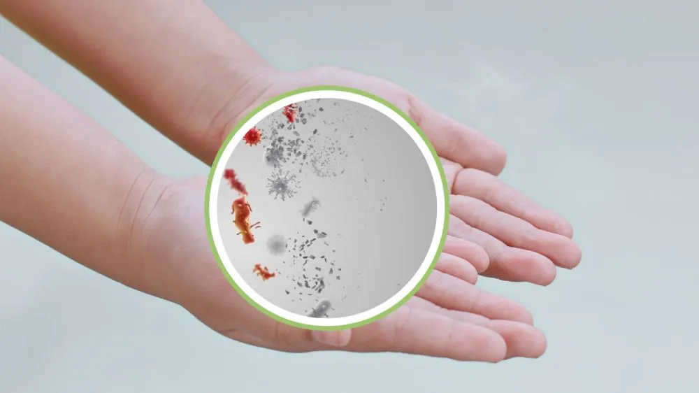 Antis_doubleaction © 2025 brilio.net Antis_doubleaction © 2025 brilio.net