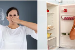 Siapa sangka, kulkas ternyata bisa hilangkan bau sepatu, begini penjelasannya