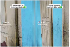 Punya jamban tak berlubang bikin kecele pemakainya, kamar mandi ini dinobatkan jadi WC 'terestetik'