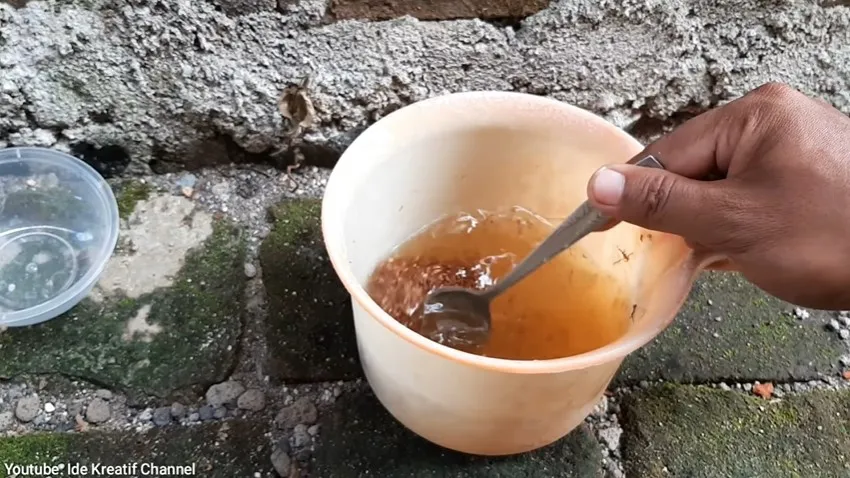 Cara bikin obat pembasmi rayap dari tembakau dan garam © YouTube Cara bikin obat pembasmi rayap dari tembakau dan garam © YouTube