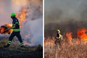 Sugianto dan dua WNI yang selamatkan lansia dari kebakaran hutan di Korea Selatan diberi Visa F-2