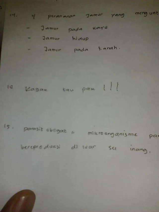 jawaban kocak ujian siswa © 2025 berbagai sumber