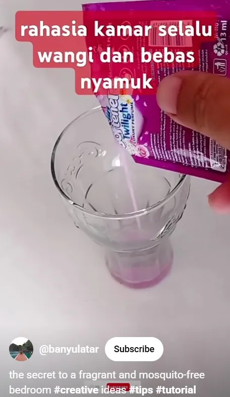 trik bikin rumah bebas dari nyamuk © berbagai sumber