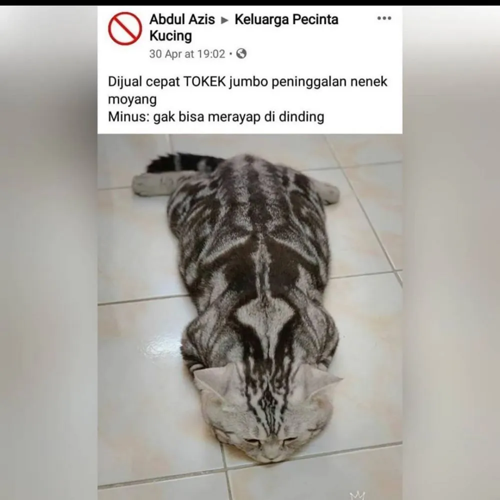 deskripsi jualan fb © Facebook