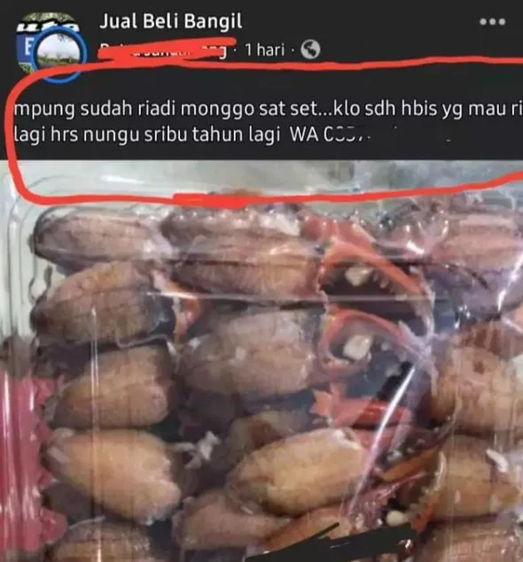 deskripsi jualan fb © Facebook