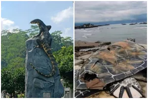 Tak seperti tugu kura-kura, penampakan patung biawak senilai Rp 50 juta di Wonosobo ini viral