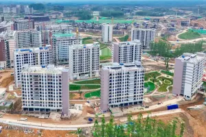 Pemindahan ASN ke IKN kembali ditunda hingga 2026, ada apa?