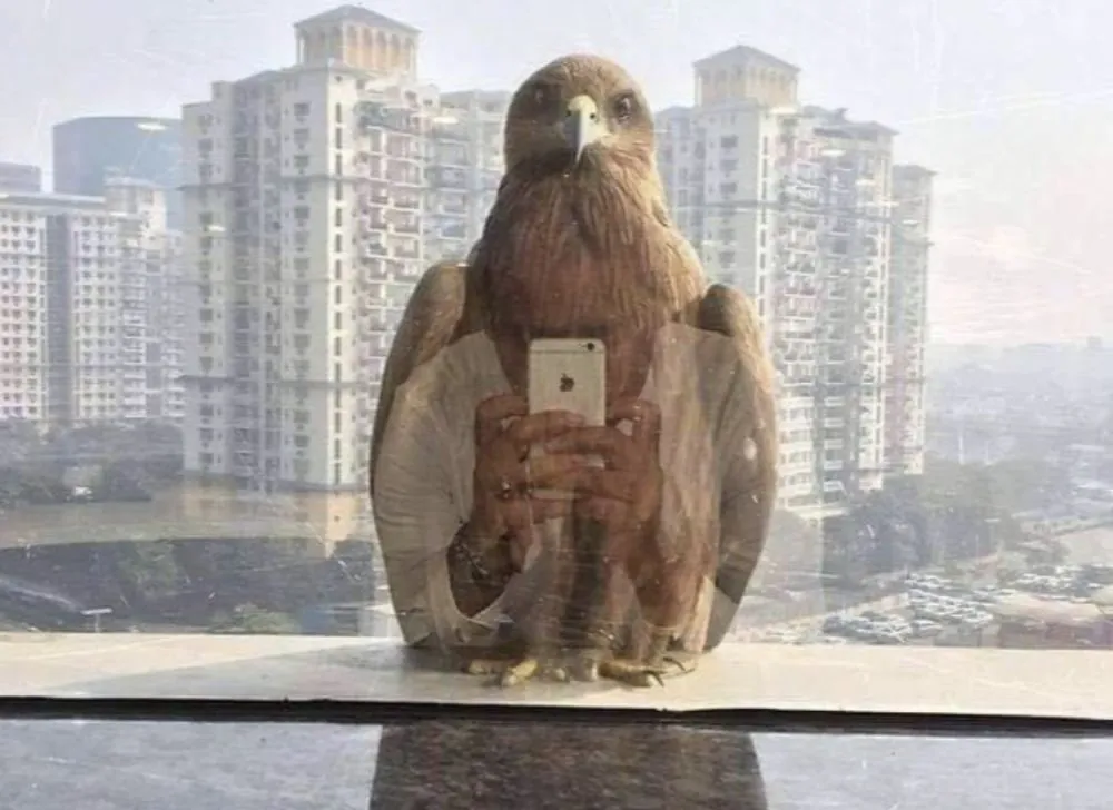 pantulan cermin aneh © Berbagai sumber