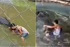 Dikira patung, turis ini nekat selfie bareng buaya, endingnya bikin ngeri