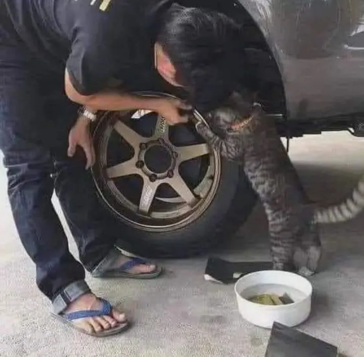 kejadian nyeleneh di bengkel © berbagai sumber