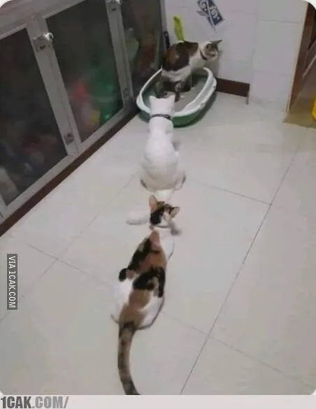 potret lucu orang antre © berbagai sumber