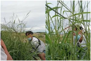 Niat bikin estetik, 13 momen apes saat ambil foto ini hasilnya bikin maju mundur mau posting