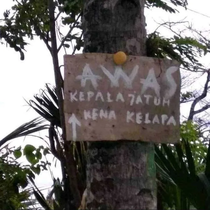 tulisan di pohon © berbagai sumber