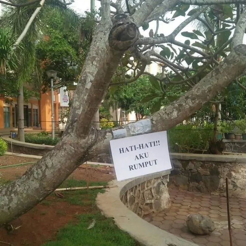 tulisan di pohon © berbagai sumber