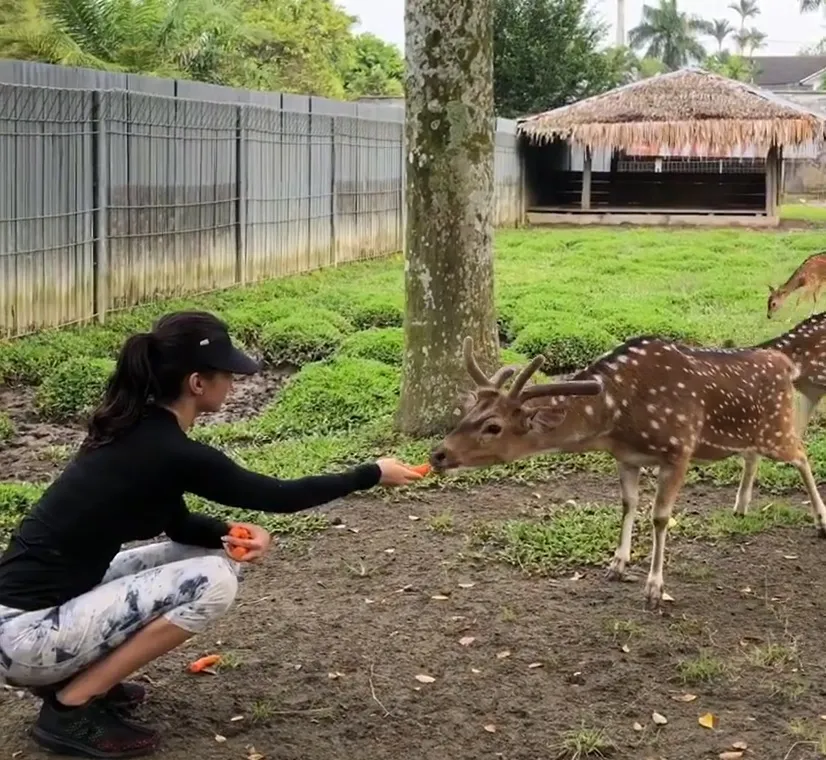  potret rumah mewah raline shah di medan © berbagai sumber