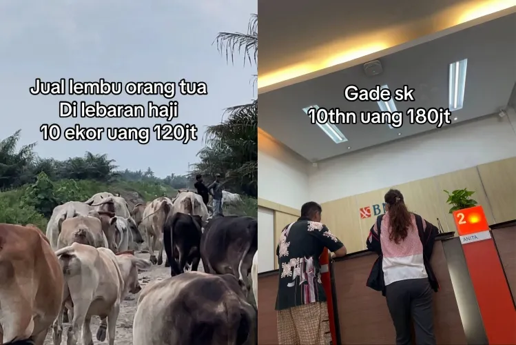 Viral kisah pasutri cari modal buat buka cafe © TikTok