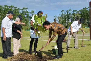 Gibran tanam pohon ulin di dekat Tugu Titik Nol IKN, apa maknanya?
