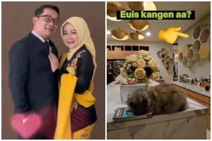 Desainnya unik, ini 5 cara Atalia Praratya menata dapurnya agar visualnya estetik sedap dipandang