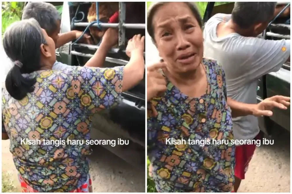 seo trending emak-emak nangisin sapi © 2025 berbagai sumber seo trending emak-emak nangisin sapi © 2025 berbagai sumber